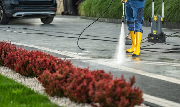 Best Sidewalk and Walkway Cleaning  in Auburndale, FL